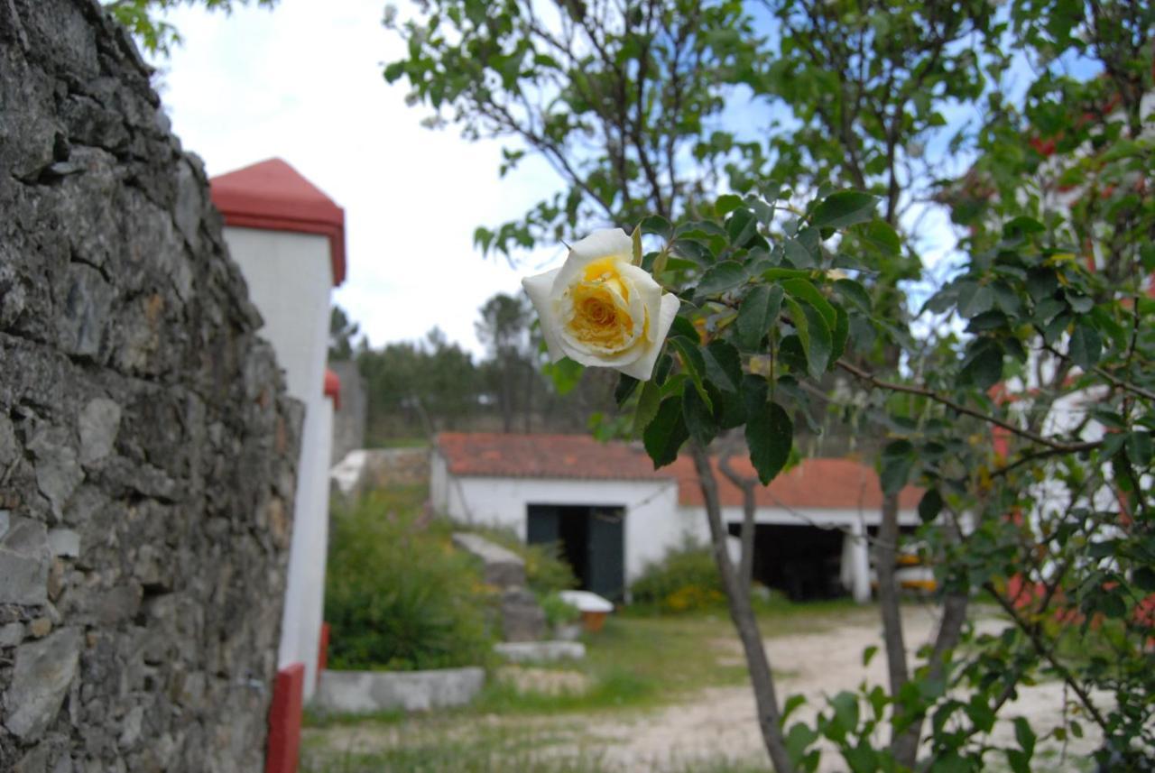 Predio Na Amendoa Villa Exterior photo